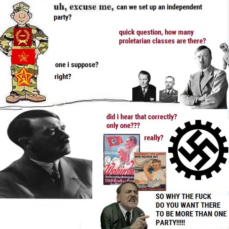 Irish Patriot 🇮🇪 tweet media