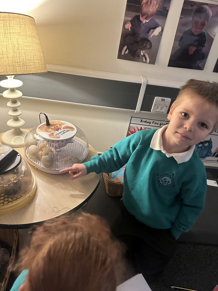 CPickering Primary tweet media