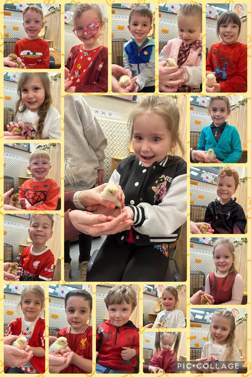 CPickering Primary tweet media