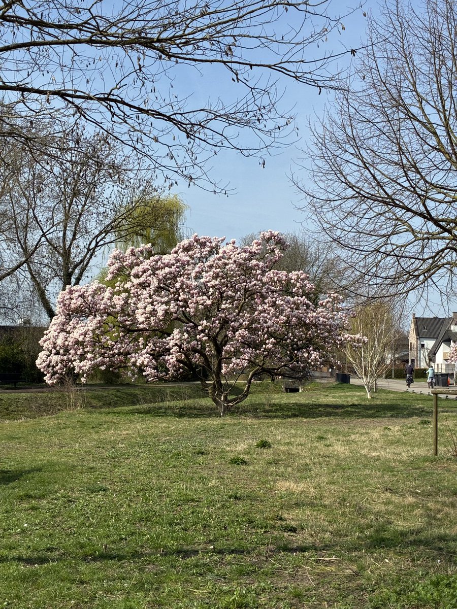 Hans Monasso tweet media