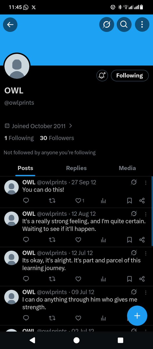 bayo.sol tweet media