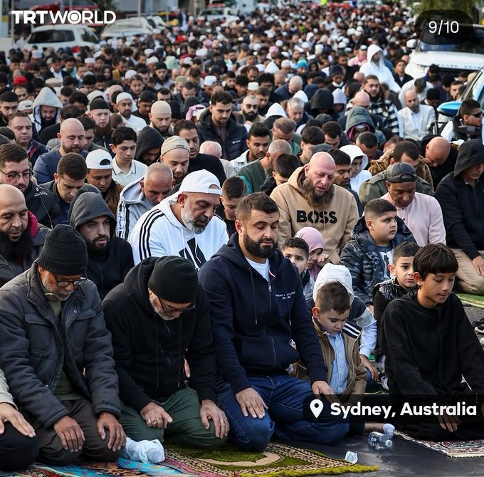 dumb0tics tweet media