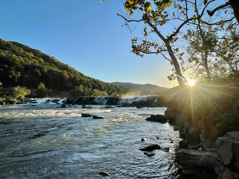 Jonathan Martin tweet media