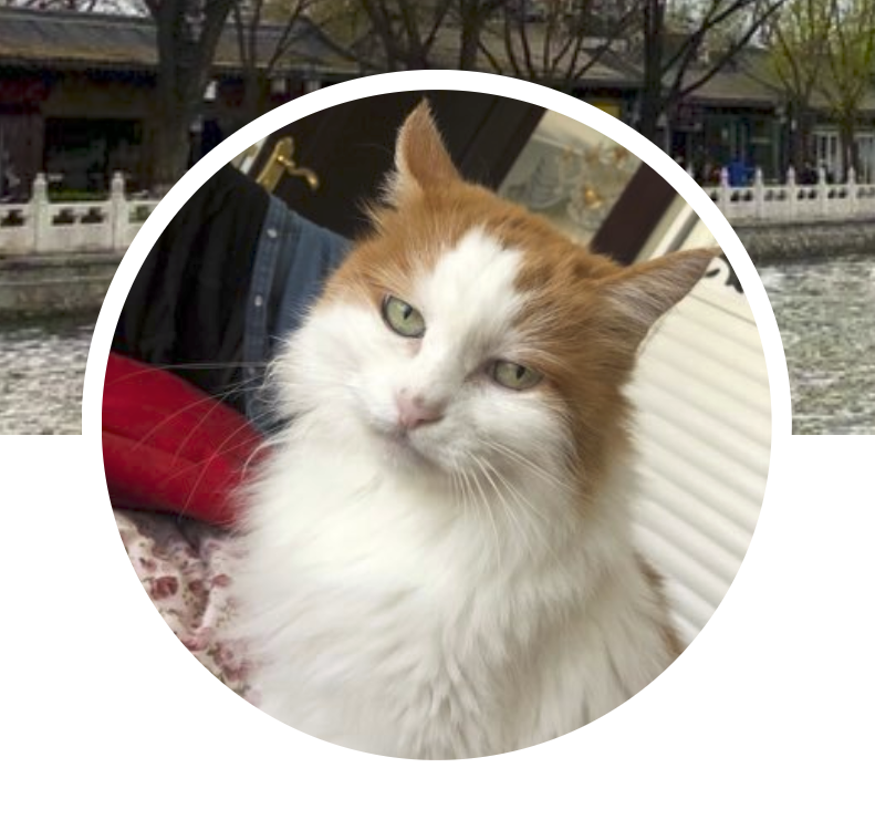 Darek Gusto tweet media