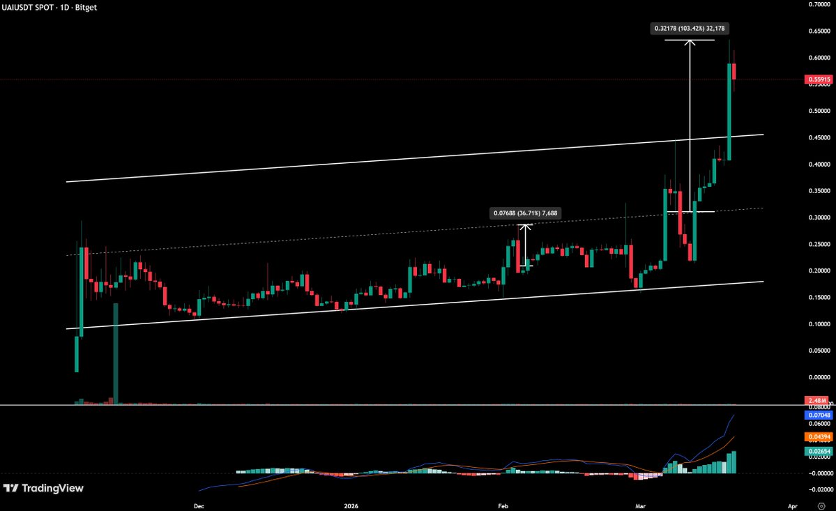 Crypto Dios tweet media