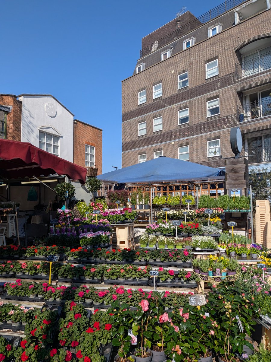 Linden Grigg tweet media