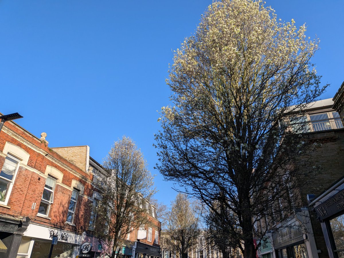 Linden Grigg tweet media