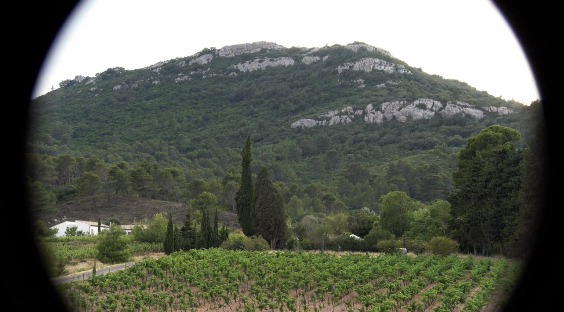 Mateowww (hong sans sous) tweet media