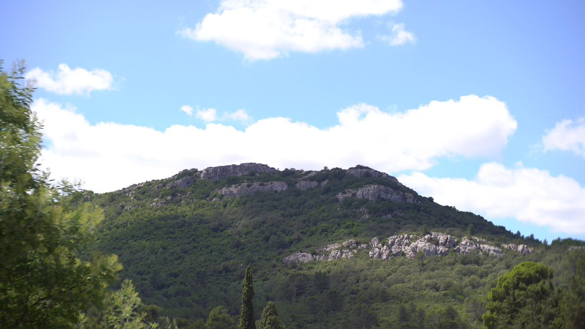 Mateowww (hong sans sous) tweet media