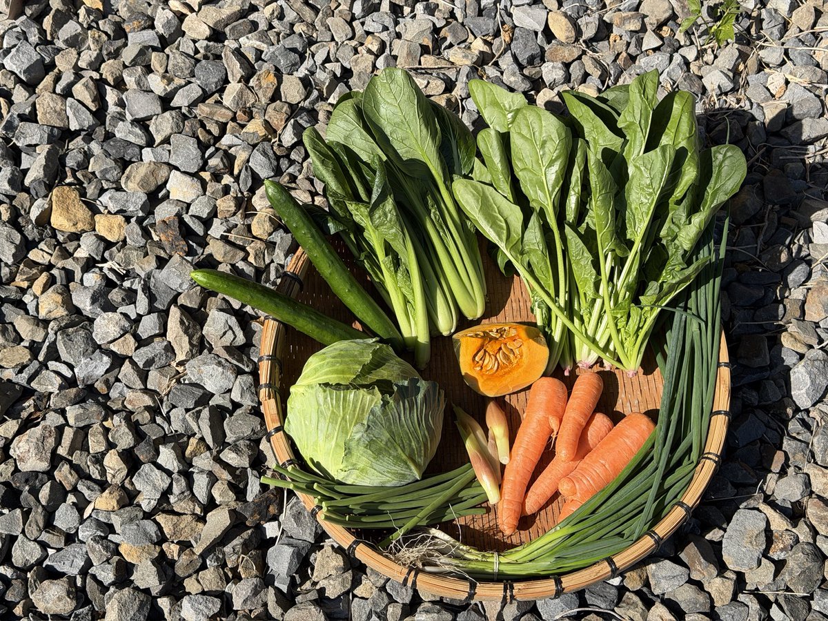 3月20日
【フルーツセット】
たんかん　1kg
いちご 大きさ不分別　1パック

【野菜セット】
キャベツ☆
きゅうり☆
にんじん★
カットかぼちゃ★
ミョウガ☆
こまつ菜☆☆
ほうれん草★
小ねぎ☆
にんにくの芽★

★は無農薬・有機栽培 ☆は減農薬栽培 
全てかごしまんま近郊（鹿児島県）産です。