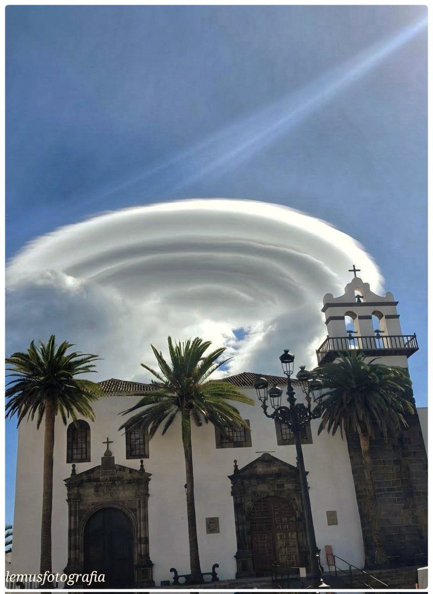 lemus photography tweet media