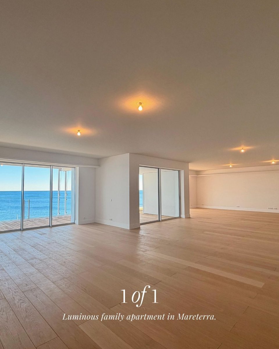 Monte-Carlo Sotheby's Int. Realty tweet media