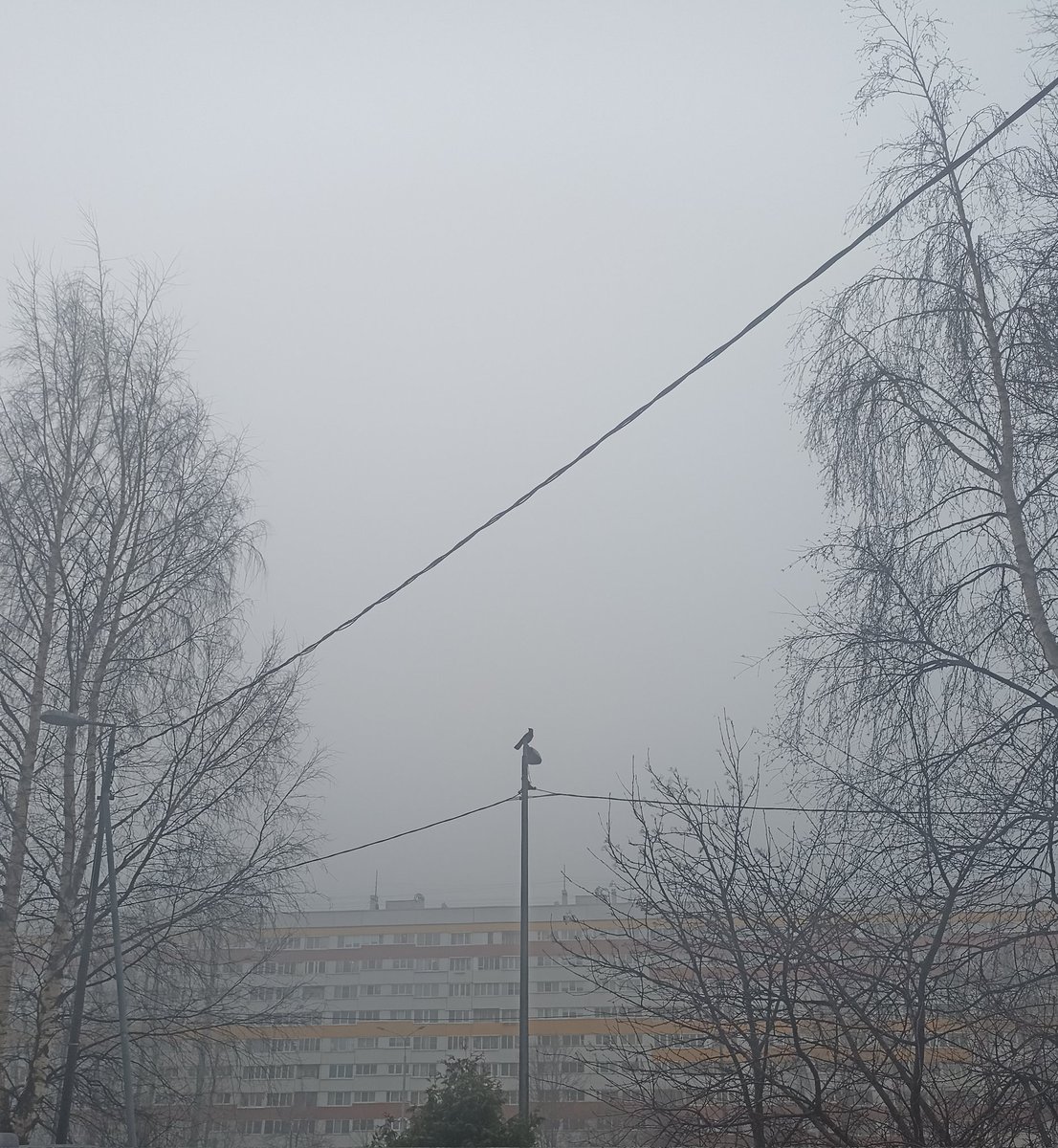 BOOZINGA! tweet media