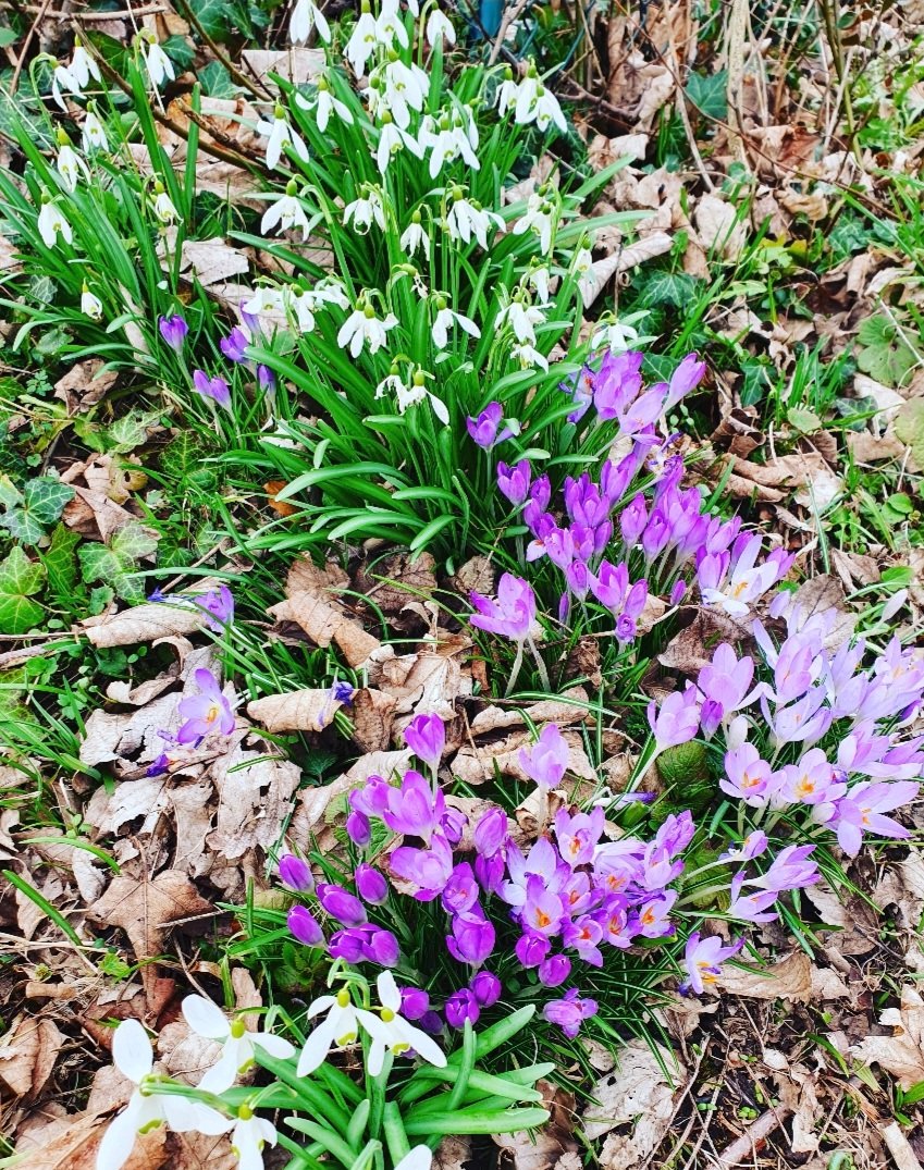 Élena-S. Eilmes ☀️ tweet media