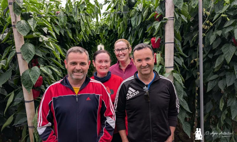 José Antonio Arcos tweet media