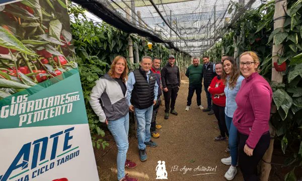 José Antonio Arcos tweet media