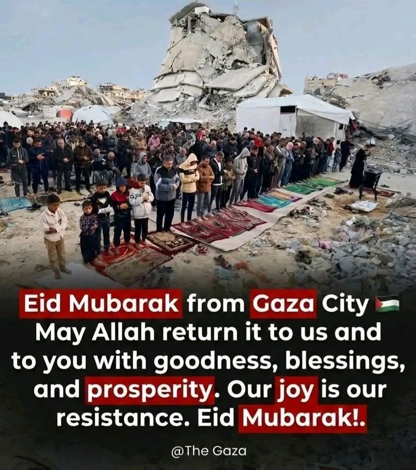 vermerlleey tweet media