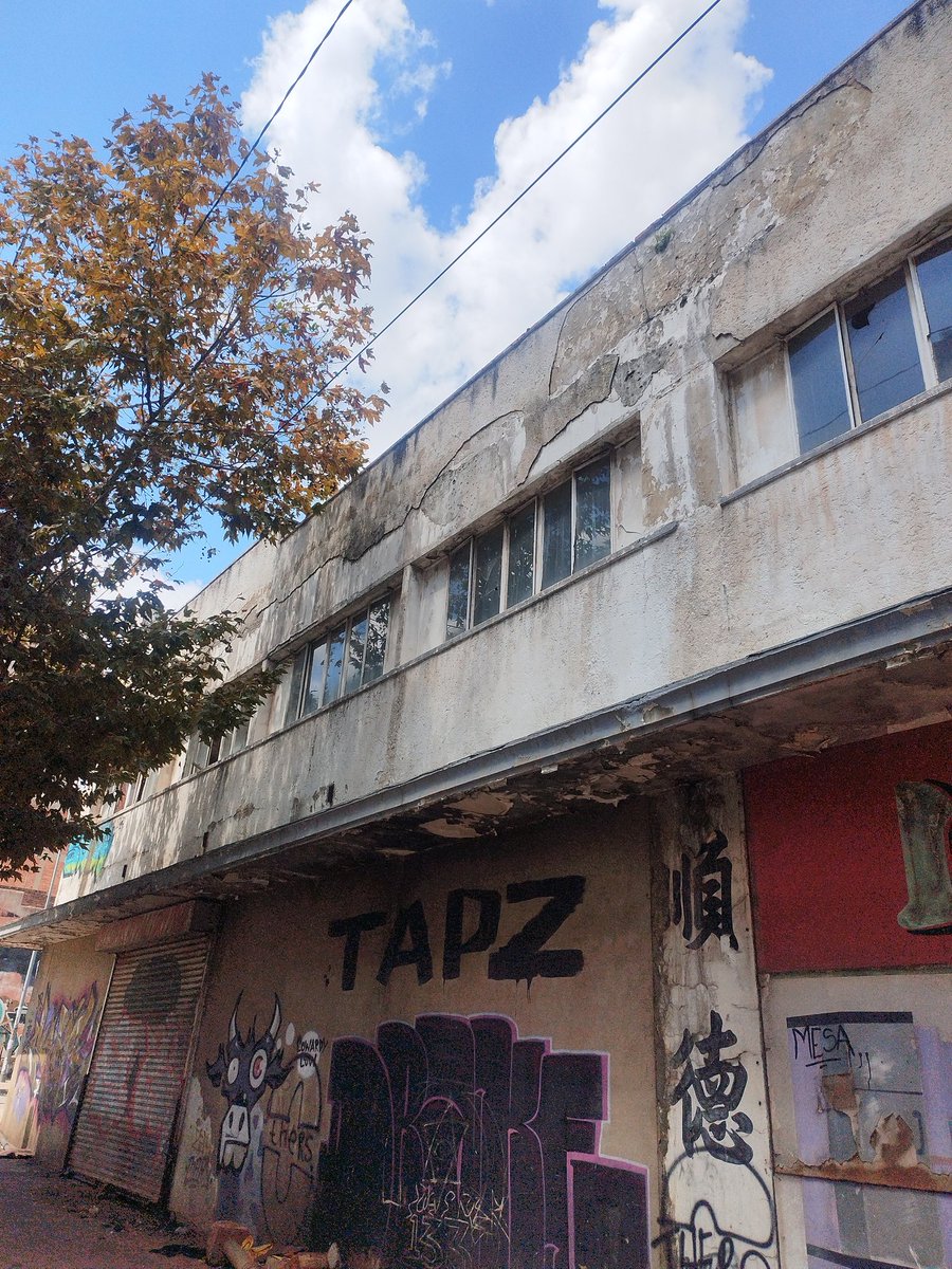 Moshabi Senwamadi tweet media