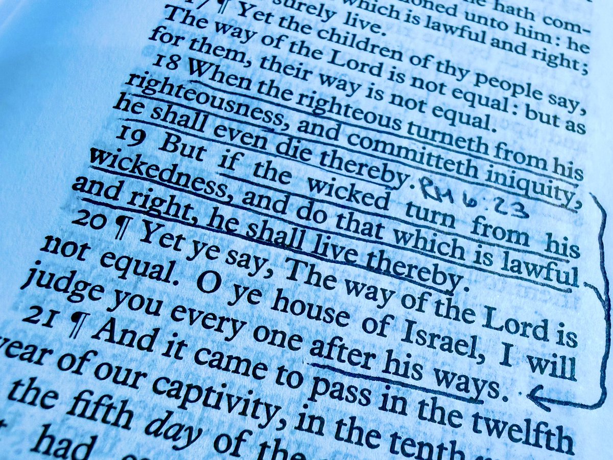 Allen Domelle tweet media