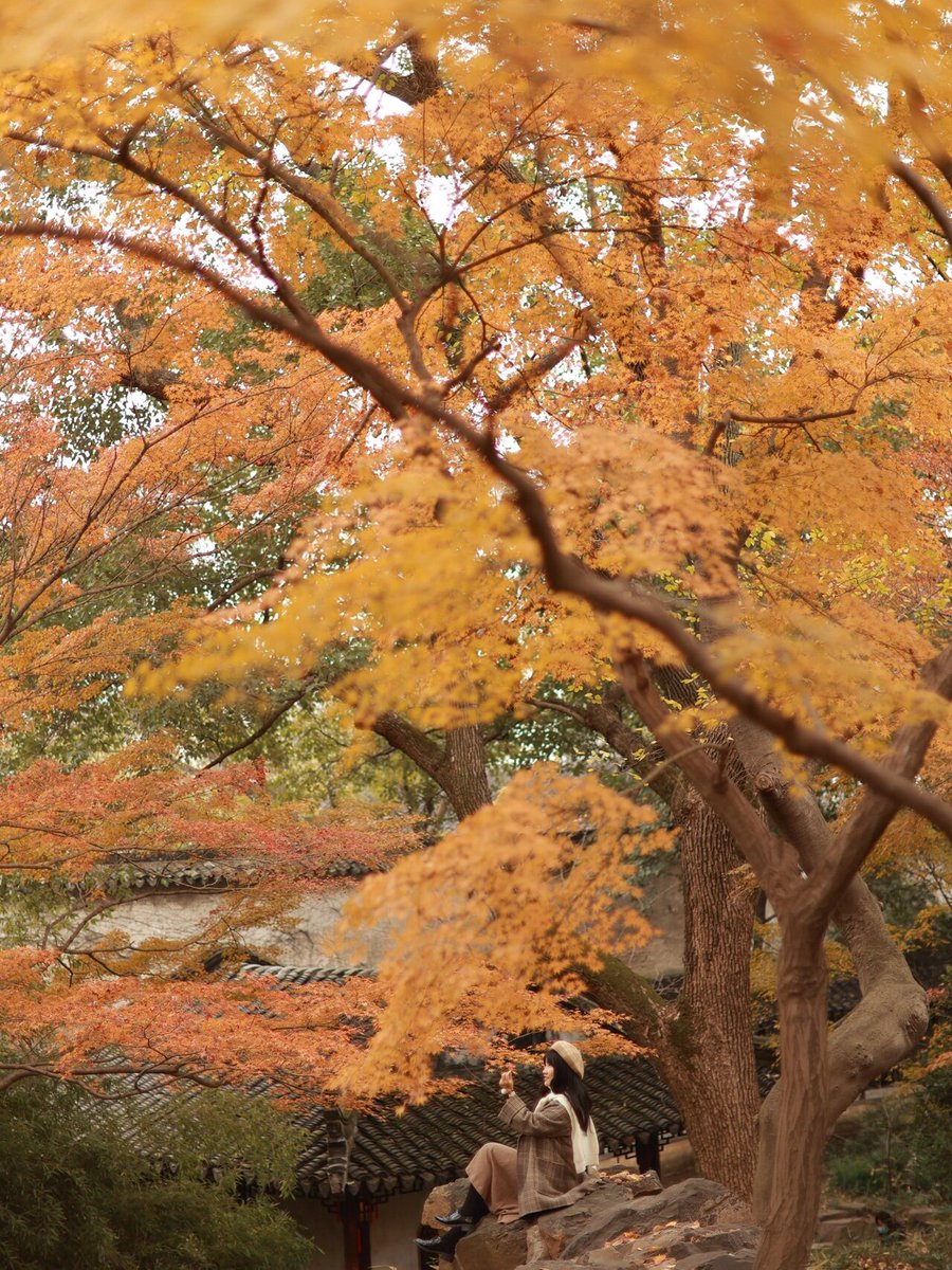 DARKWIND tweet media