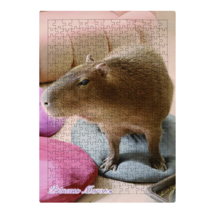 カピバラグッズ販売 | CAPINGO FACTORY tweet media