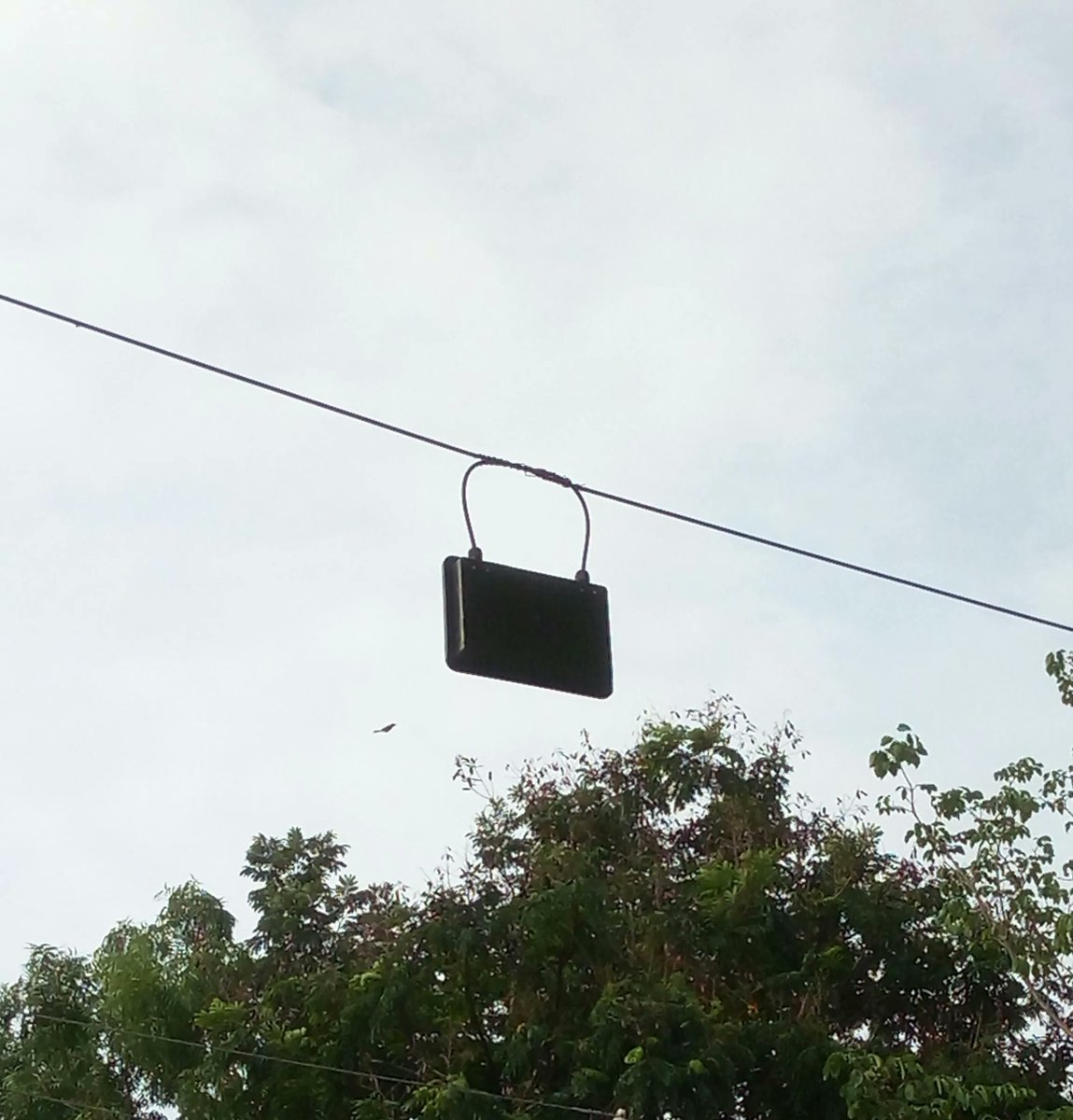 Chandana ๐ปโจ tweet media