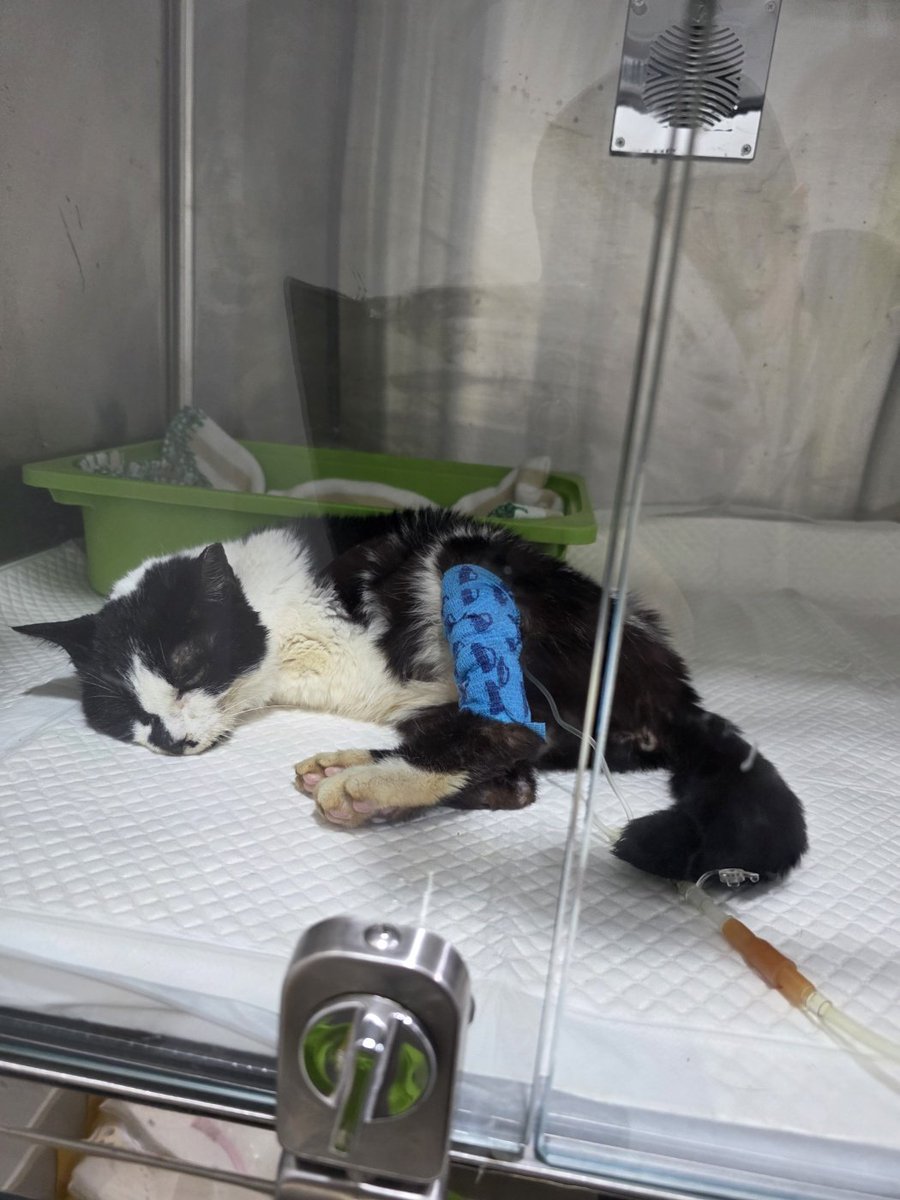 하늘쉼터 tweet media