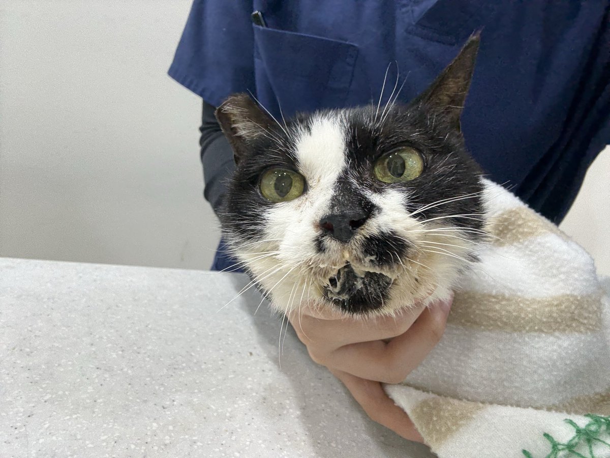 하늘쉼터 tweet media