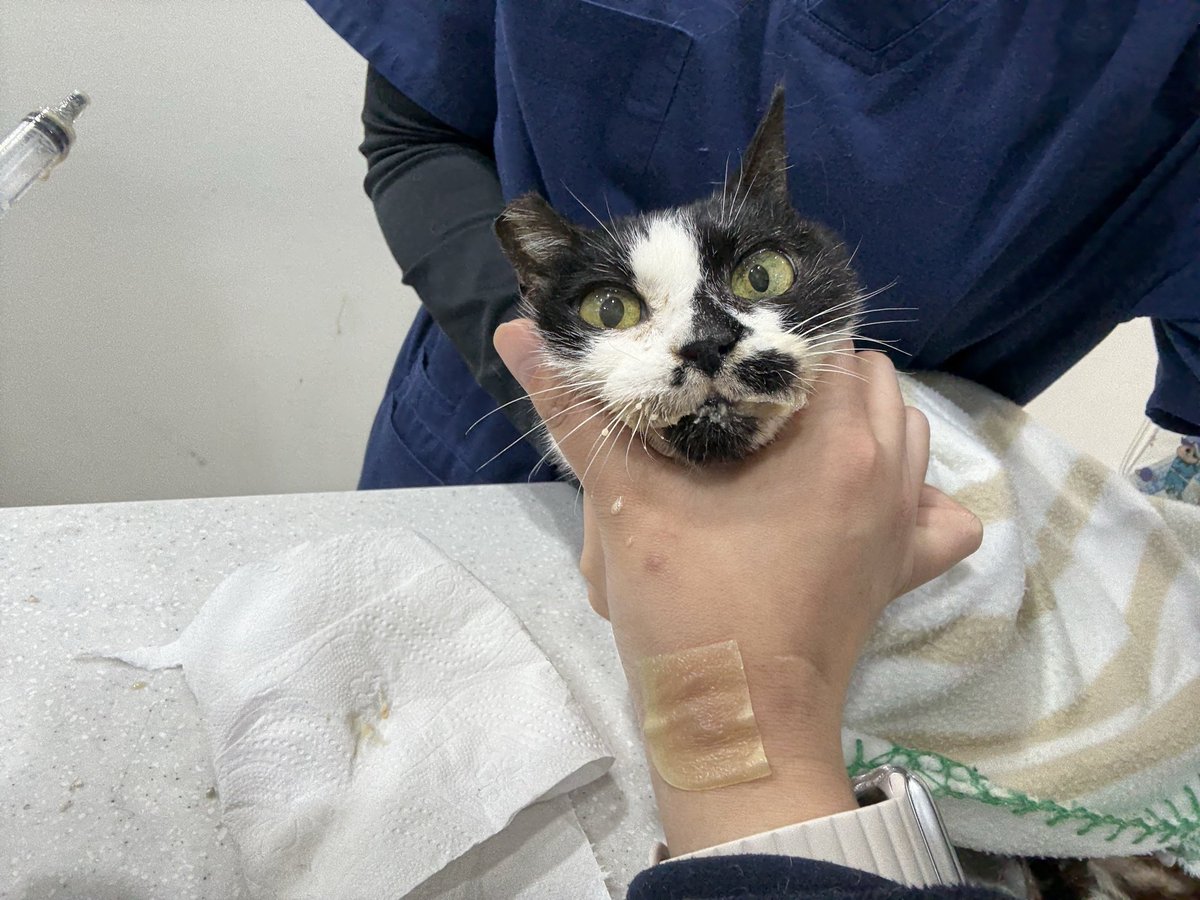 하늘쉼터 tweet media