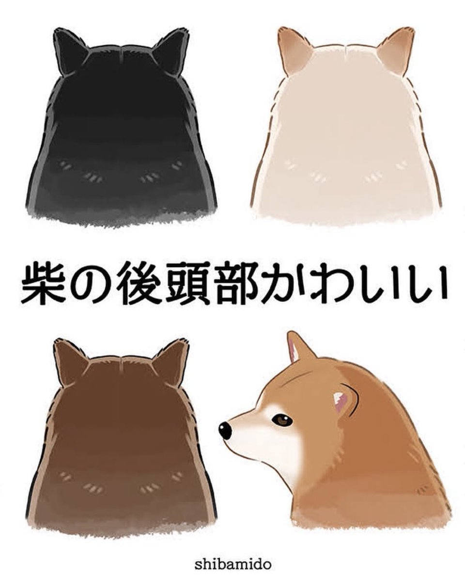 なぜだかわからないけど