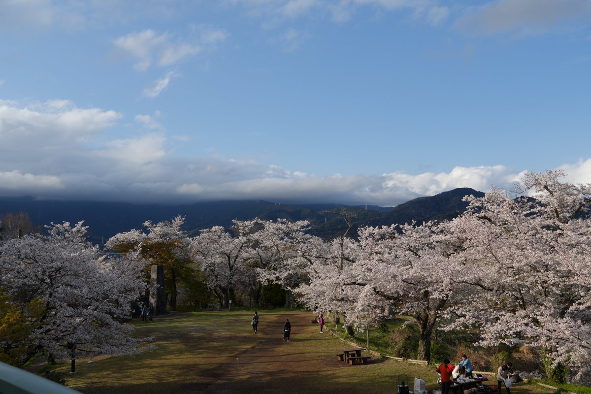 hyotanh / 秦野丹沢箱根 🏔️ tweet media