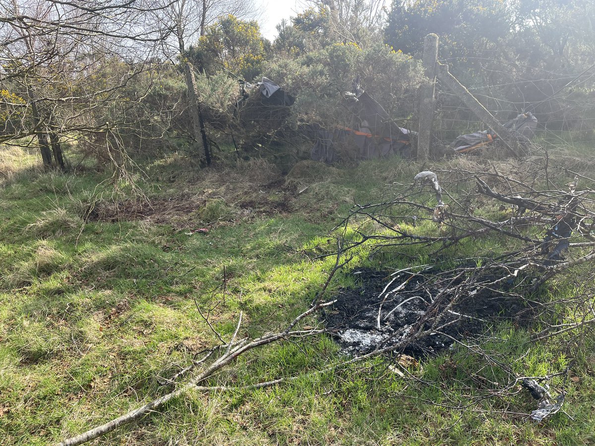 Nae Comment tweet media