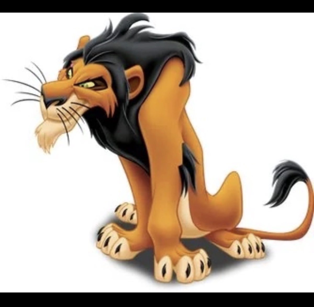 ThePoliticalChef tweet media