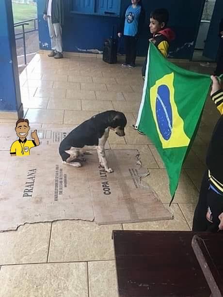 Miguel Diniz - Pátria amada Brasil tweet media