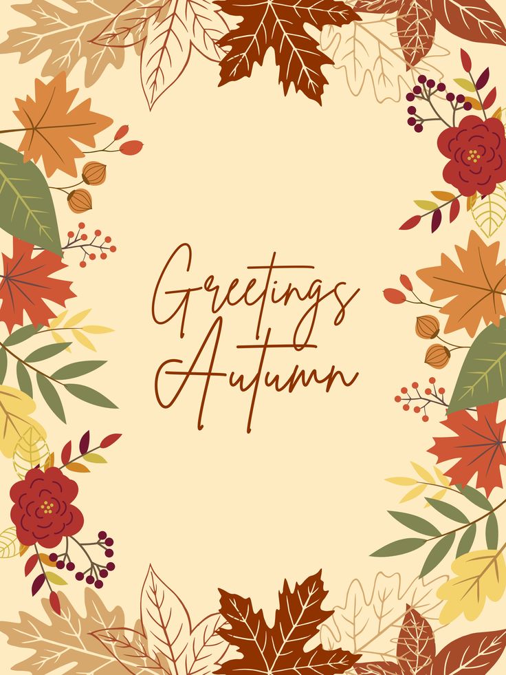 Maria Alves tweet media