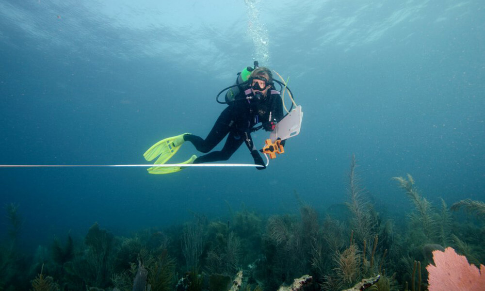 NOAA Florida Keys NMS tweet media