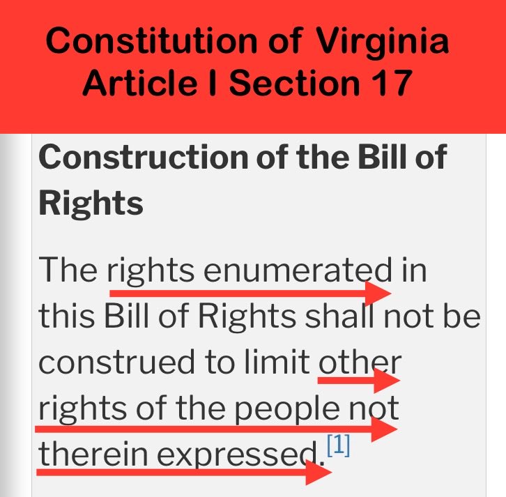 CommonlawKittie's tweet image. Yes! More significantly, Patrick Henry said Virginia’s Bill of Rights is a “set of maxims,” self evident Truth! All other 50 Bills of Rights are modeled after Virginia’s! And they have even more maxims! That’s why, Virginia added Section 17. Self evident Truth is Laws of God.
