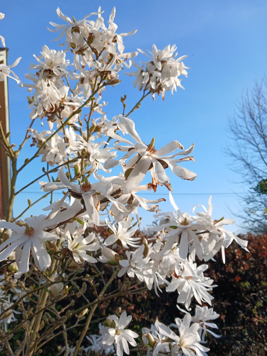 Posy Hill tweet media