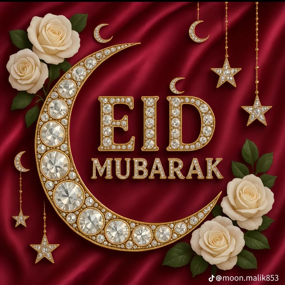 Mutasim shah Syed tweet media