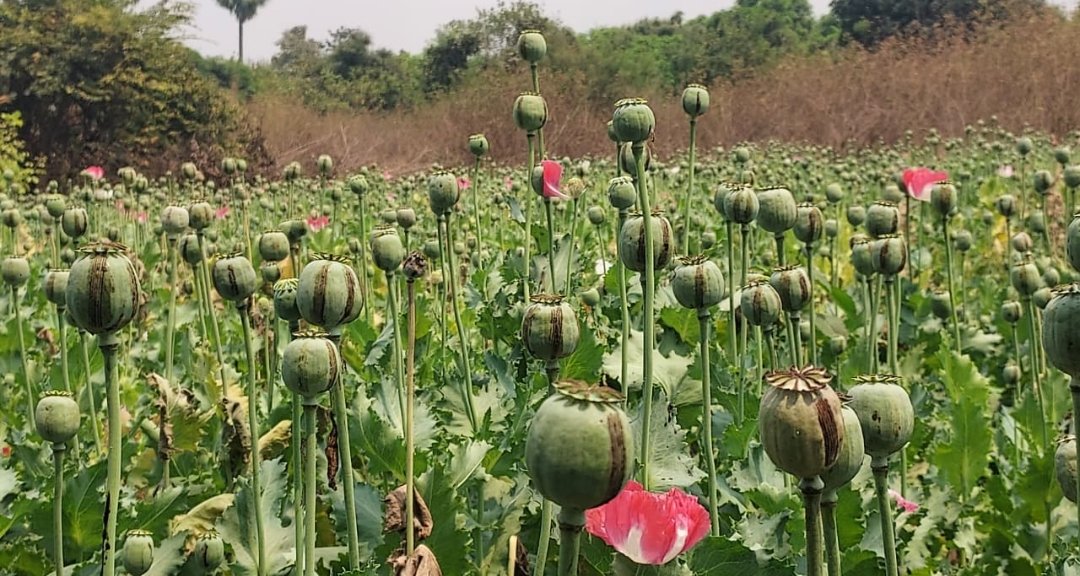 Devendra Yadav tweet media