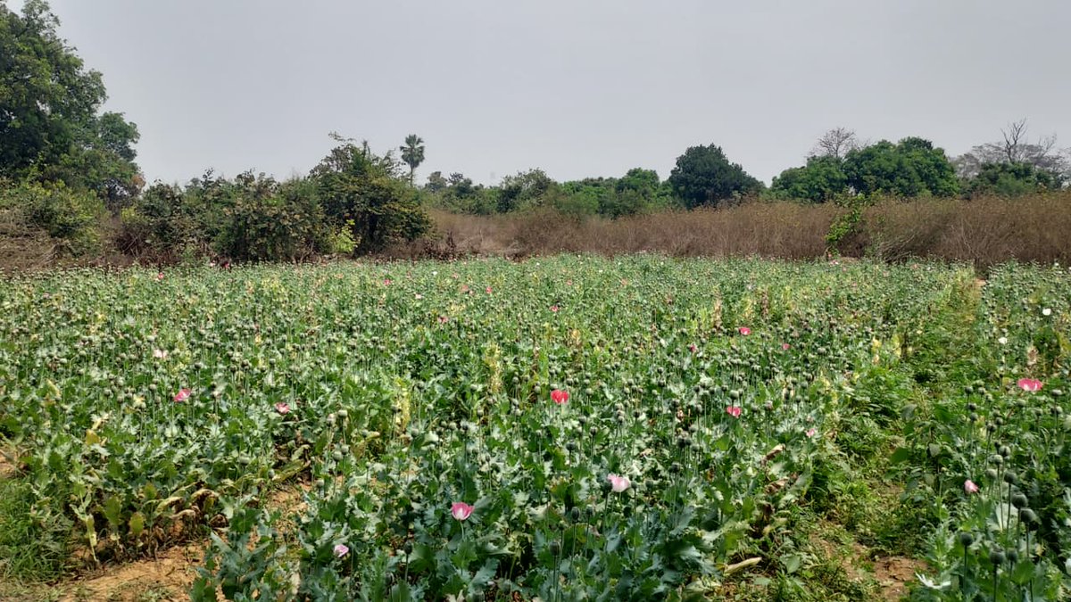 Devendra Yadav tweet media