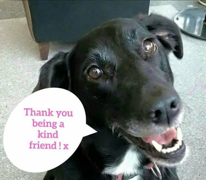 ABC for MentalHealth tweet media