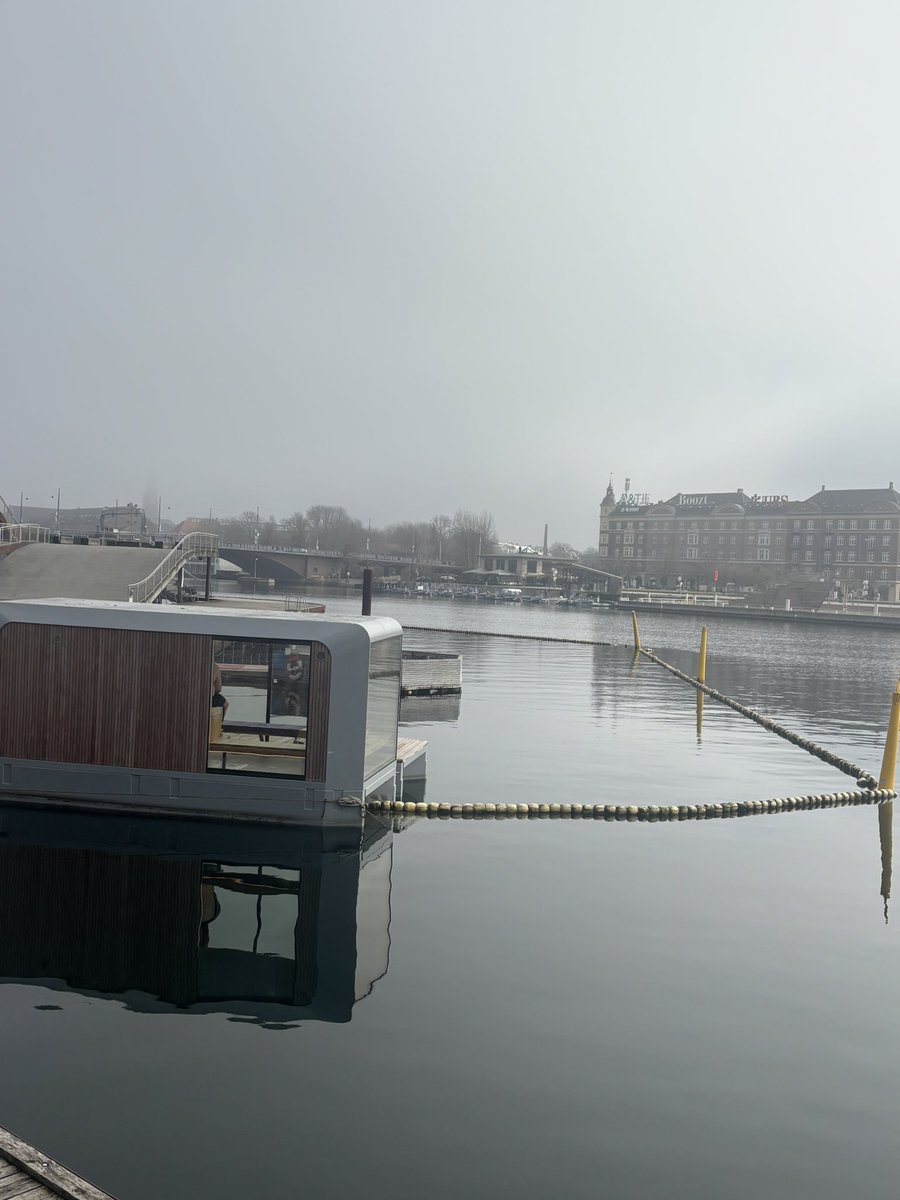 Michelle Saycell tweet media