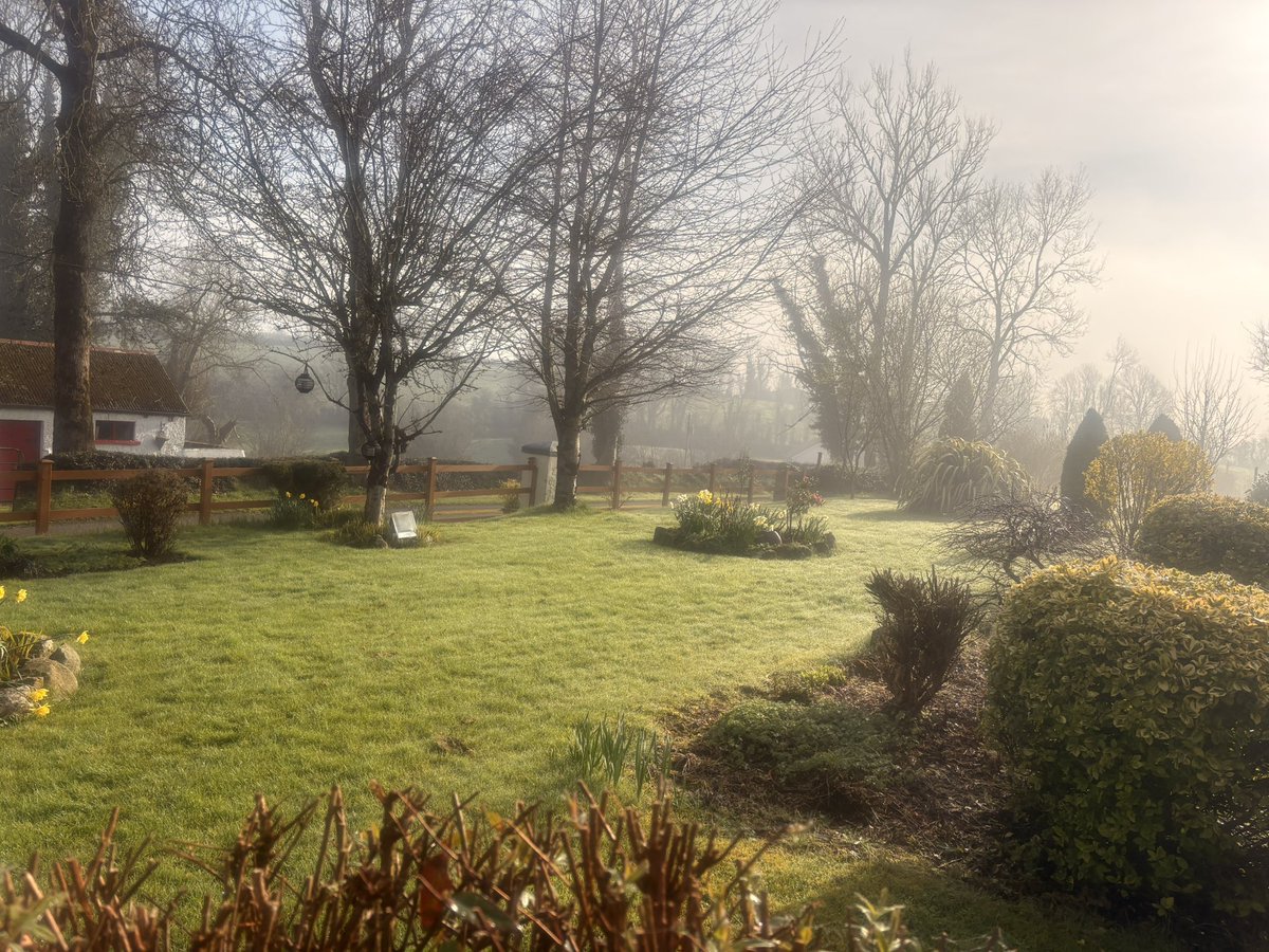 Maureen Tully tweet media