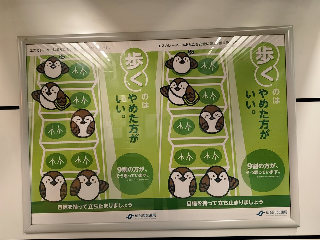 いぬのひと tweet media