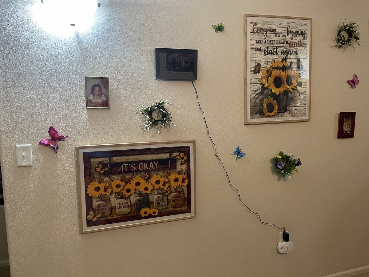 Kay Cordingly ☾⋆* ⋆ tweet media