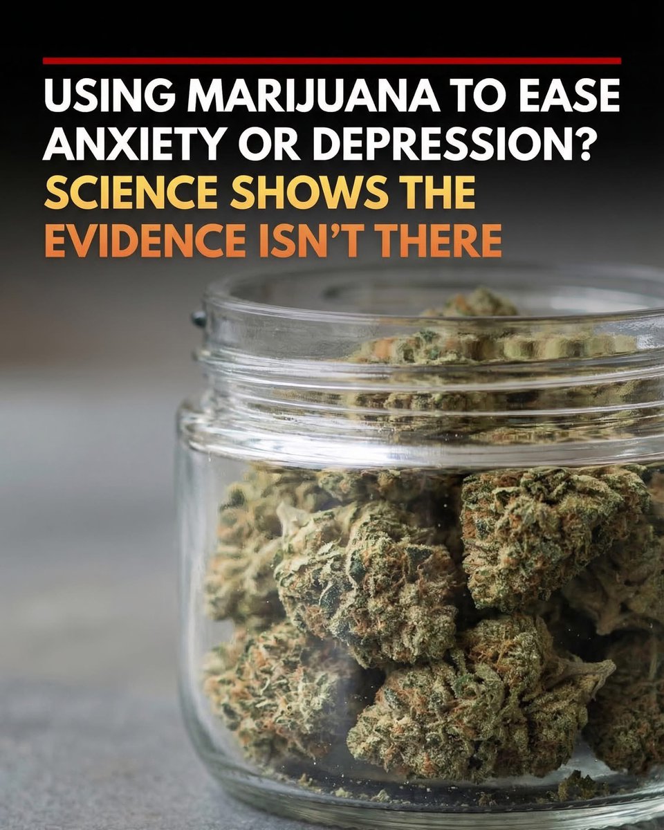 Shining Science tweet media