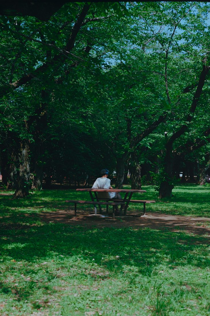 カメラ専門店 マップカメラ【公式】 tweet media