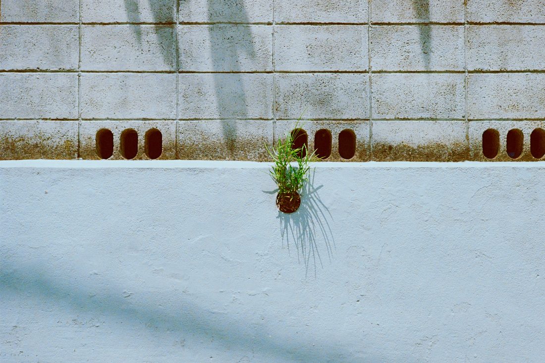 カメラ専門店 マップカメラ【公式】 tweet media