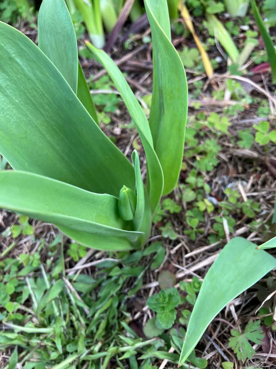 #私たちは高市早苗を支持しません #WeDontSupportSanaeTakaichi